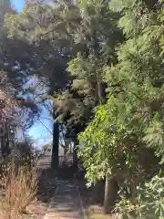 白岡八幡神社(埼玉県)