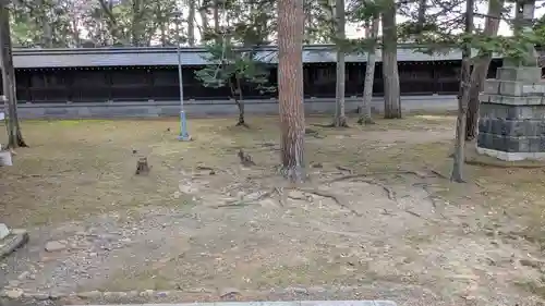 上川神社の庭園