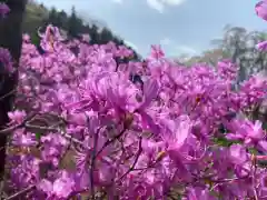 法善寺の自然