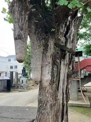 寿徳寺(東京都)