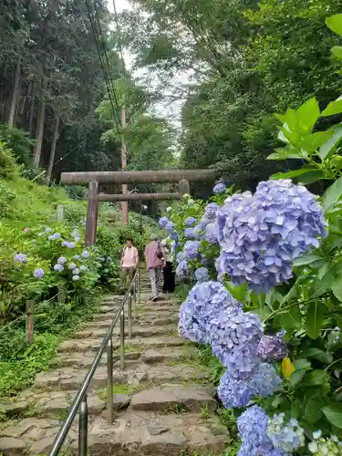 太平山神社(栃木県)