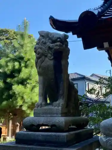 豊田白山神社の狛犬