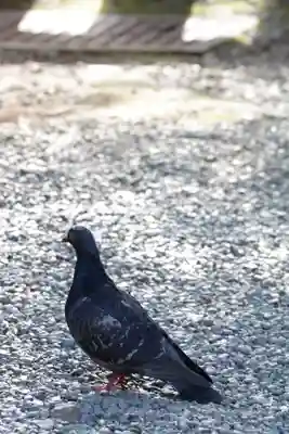 金王八幡宮(東京都)