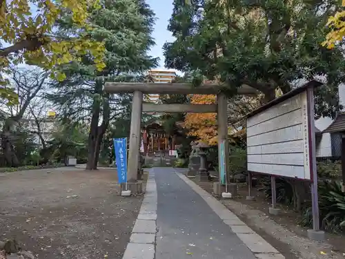 青山熊野神社の鳥居