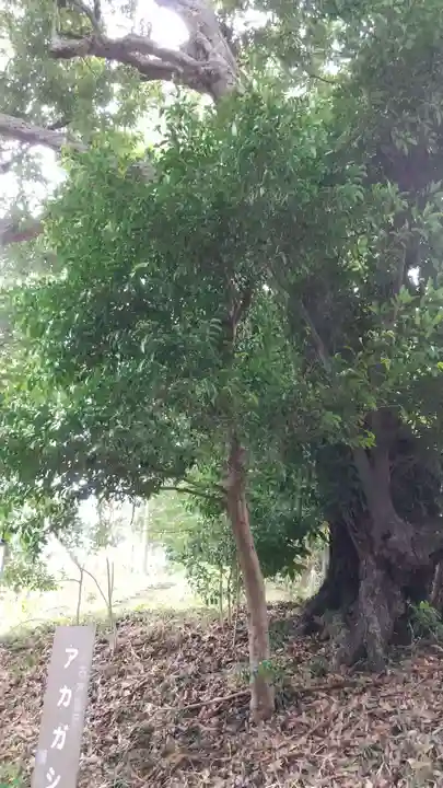 永谷天満宮(神奈川県)