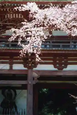 醍醐寺の山門・神門