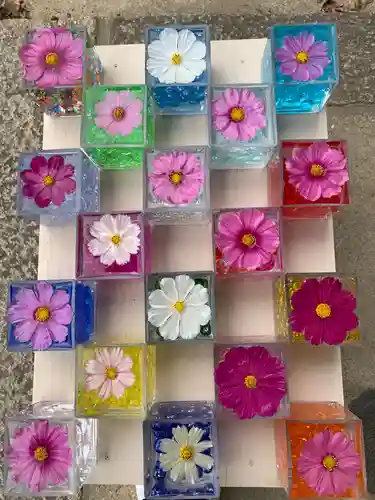 般若寺 ❁﻿コスモス寺❁(奈良県)