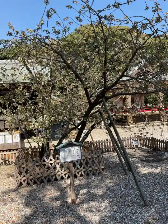 上地八幡宮の庭園