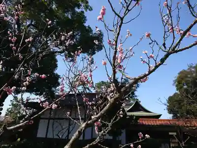 小松天満宮のその他建物