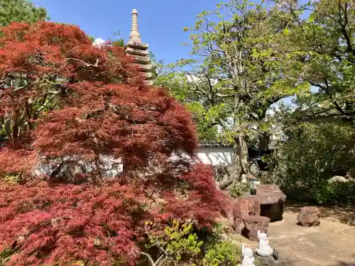 無量寺の{uncategorized: "未分類", other: "その他", undefined: "問題あり", building: "その他建物", grave: "お墓", sacred_gate: "鳥居", guardian: "狛犬", statue: "像", buddha: "仏像", history: "歴史", nature: "自然", garden: "庭園", animal: "動物", pagoda: "塔", temizu: "手水舎", mountain_gate: "山門・神門", sanctuary: "本殿・本堂", subordinate: "末社・摂社", art: "芸術", scenery: "景色", jizo: "地蔵", ema: "絵馬", goshuin: "御朱印", omikuji: "おみくじ", items: "授与品その他", amulet: "お守り", goshuincho: "御朱印帳", eats: "食事", festival: "お祭り", votive_dance: "神楽", shichigosan: "七五三参", wedding: "結婚式", experience: "体験その他", initially: "初詣", around: "周辺", anti_infection: "感染症対策"}