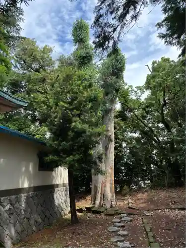 元城町東照宮(静岡県)