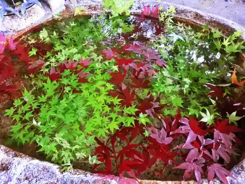 立志神社の手水舎