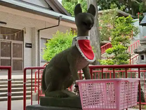 五社稲荷社の狛犬