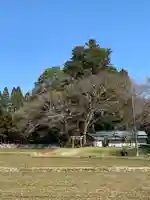熊野神社の鳥居