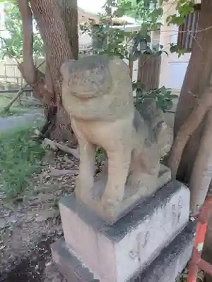 大江神社の狛犬