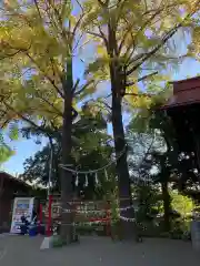 多摩川浅間神社の自然