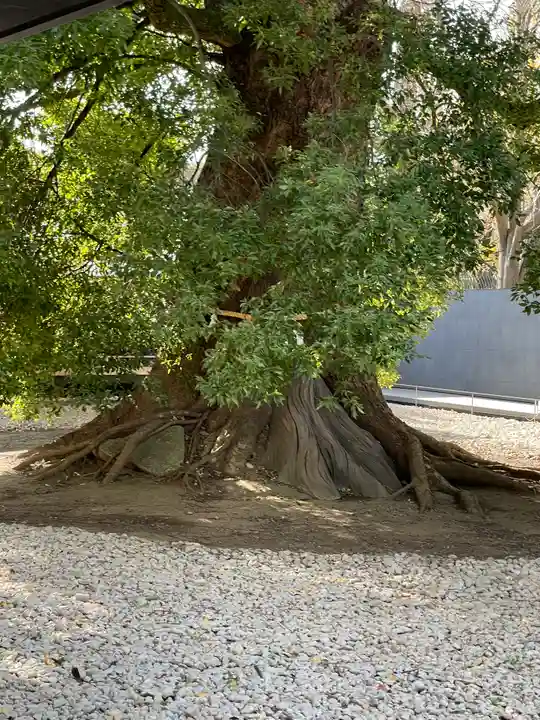 上野東照宮(東京都)