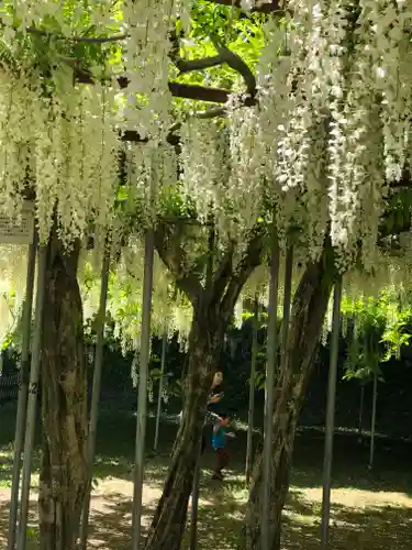 和気神社の庭園