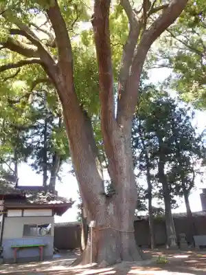 三島八幡神社(福島県)