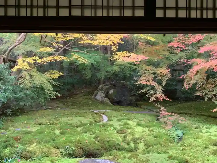 光明寺瑠璃光院(京都府)