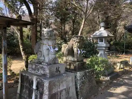 天都賀佐比古神社の狛犬