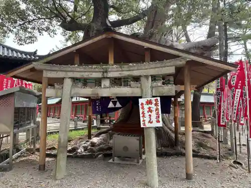 住吉大社(大阪府)