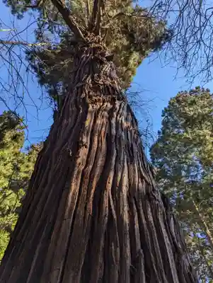 志和稲荷神社(岩手県)