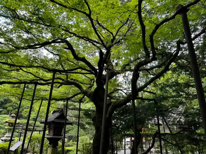 北口本宮冨士浅間神社(山梨県)