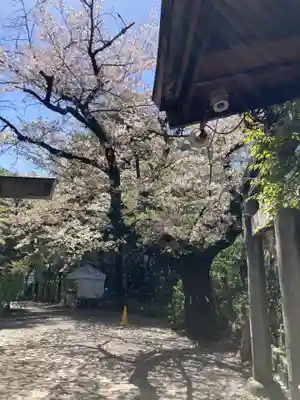 牛天神北野神社(東京都)