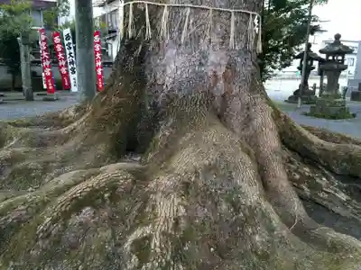 須賀神社(福岡県)