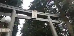 北口本宮冨士浅間神社の鳥居