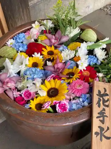 多賀神社の手水