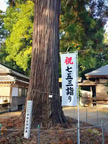 甲神社(茨城県)