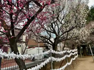 北野八幡神社の{uncategorized: "未分類", other: "その他", undefined: "問題あり", building: "その他建物", grave: "お墓", sacred_gate: "鳥居", guardian: "狛犬", statue: "像", buddha: "仏像", history: "歴史", nature: "自然", garden: "庭園", animal: "動物", pagoda: "塔", temizu: "手水舎", mountain_gate: "山門・神門", sanctuary: "本殿・本堂", subordinate: "末社・摂社", art: "芸術", scenery: "景色", jizo: "地蔵", ema: "絵馬", goshuin: "御朱印", omikuji: "おみくじ", items: "授与品その他", amulet: "お守り", goshuincho: "御朱印帳", eats: "食事", festival: "お祭り", votive_dance: "神楽", shichigosan: "七五三参", wedding: "結婚式", experience: "体験その他", initially: "初詣", around: "周辺", anti_infection: "感染症対策"}