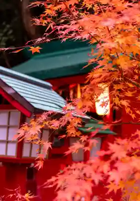 宮地嶽神社(福岡県)