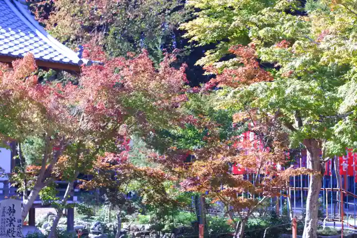 龍田大社の自然