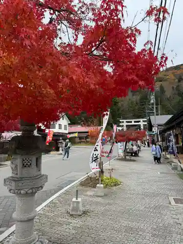 諏訪大社(長野県)