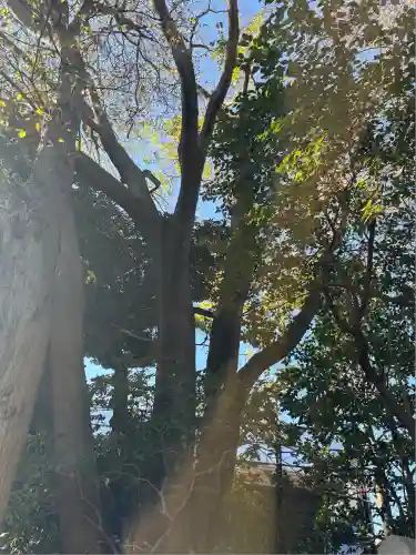 稲荷神社(東京都)