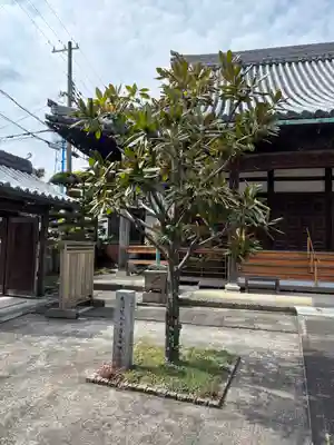 教興寺(兵庫県)