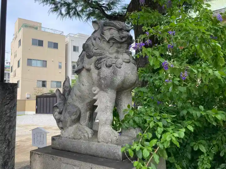 今戸神社の狛犬