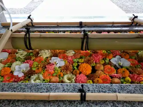 富岡八幡宮(東京都)