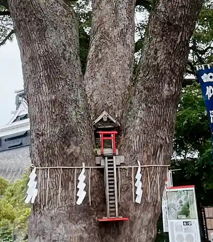 加藤神社の建物その他