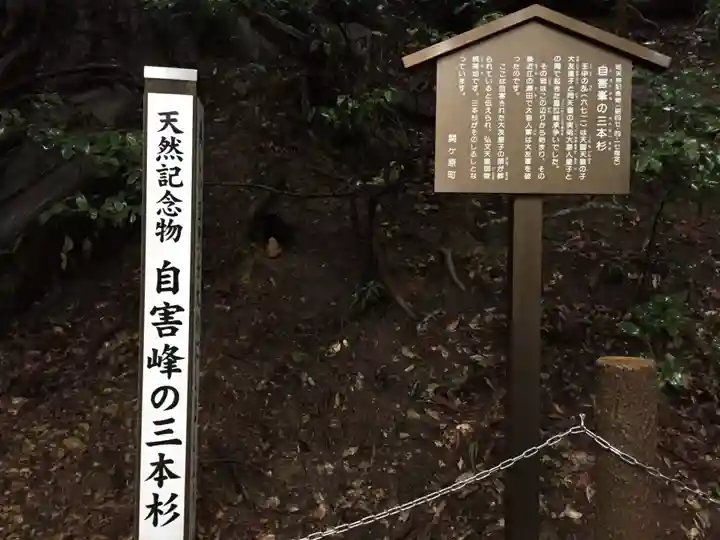 藤下若宮八幡神社のその他建物