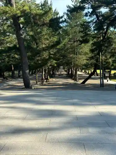 出雲大社(島根県)