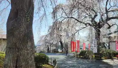 身照寺(岩手県)