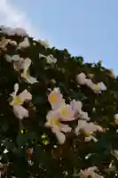 歓喜院(兵庫県)