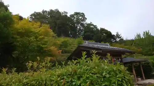 出雲大社 与謝分祠(京都府)
