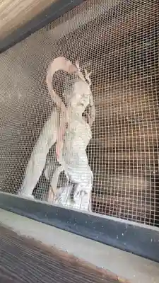 金毘羅寺(愛媛県)