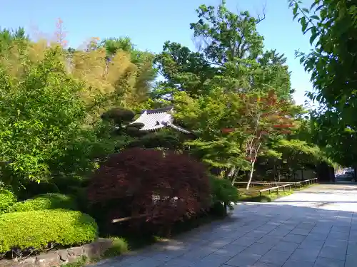 観泉寺の庭園