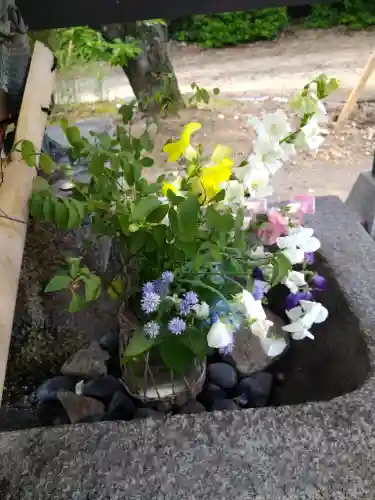 木華佐久耶比咩神社の手水